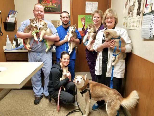 Belmont Veterinary Clinic - Youngstown, OH - Our Staff